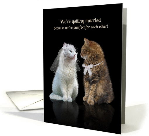 Getting Married Announcement Cats card (1399004)
