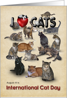 I love Cats - International Cat Day card