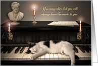 Cat on Piano Music...