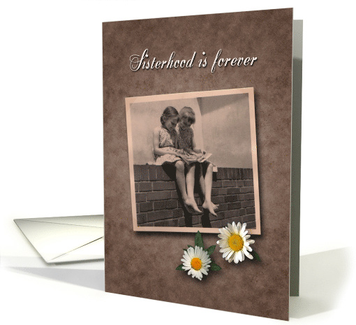 Sisterhood is forever / estranged sister birthday card (1535886)
