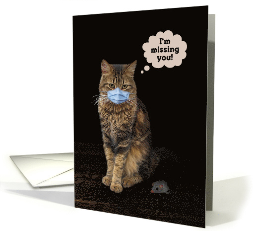 Cat with Face Mask, Missing You card (1621250)