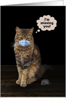 Cat with Face Mask, Missing You card