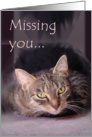 Missing you cat-photo-card card