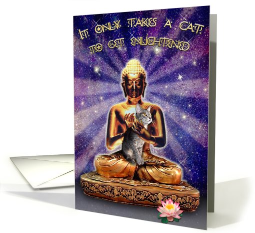 Cat-enlightenment card (475490)