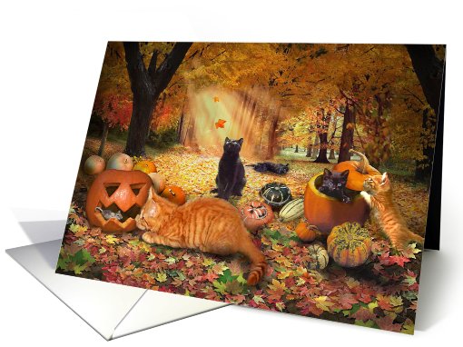 Cats in Autumn card (475939)