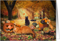 Cats in Autumn card