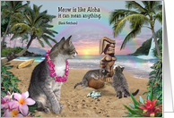 Meow is like Aloha