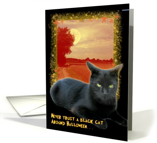 Black Cat card (501620)