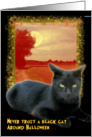 Black Cat card