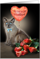 Be my Valentine / Cat card