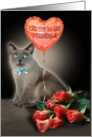 Be my Valentine / Cat card