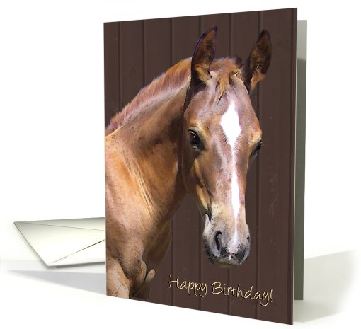 Happy Birthday Horse card (569832)