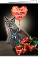Mother's Day Cats