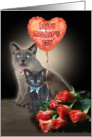 Mother’s Day Cats card