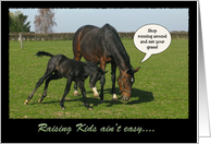 Funny Horse and Foal Mother’s Day card