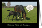Funny Horse and Foal Mother’s Day card
