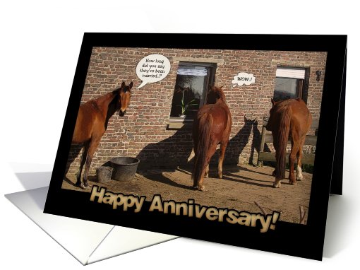 Wedding Anniversary, funny horses card (801126)