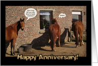 Wedding Anniversary, funny horses card