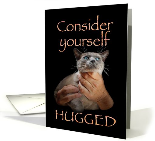 Hugged Cat card (815140)