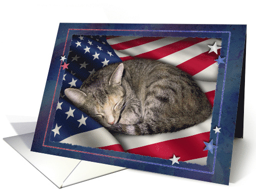 Cat with Flag, 4th of July card (816832)