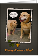 Father’s Day Dogs card