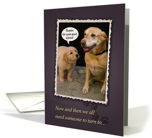 Dogs, Thanks for your support card (817692)