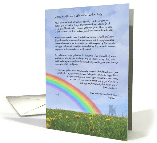 Rainbow Bridge Pet Loss card (826212)