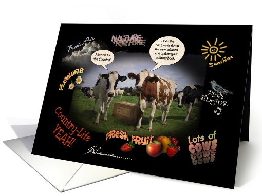 Mooved to the Country, Humor card (826745)