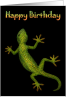 Birthday Gecko