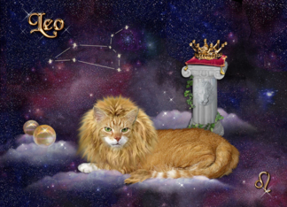 Leo - for Cat Lovers