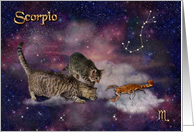 Scorpio Birthday - for Cat Lovers card