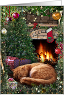 Christmas Cat card