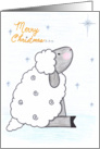 Merry Christmas - Sheep card