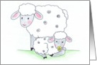 Congratulations - New Baby - Sheep card