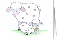 Congratulations - New Baby - Sheep card