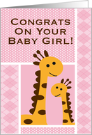 Congratulations on your baby girl! card