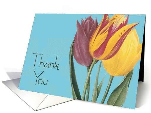 Thank You card (481448)