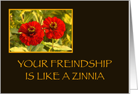 friendship like a zinnia card