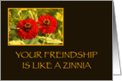 friendship like a zinnia card