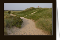 beach path dunes lewis carroll quote card