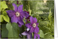 Happy Birthday Grandmom card