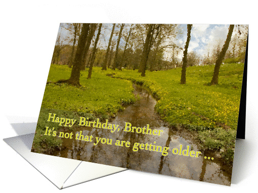 Happy Birthday Brother card (837812)