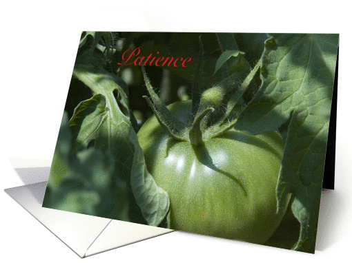 Green Tomato Patience - I Will Wait for You card (844012)