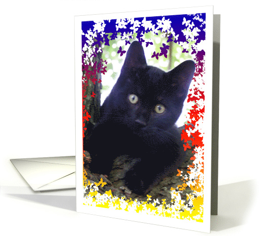 Kitty with butterflies card (478303)