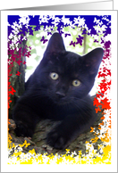 Kitty with butterflies card