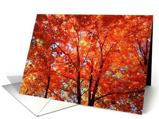 Lavish Autumn Production card (479169)