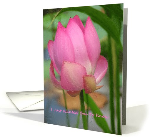 Pink Lotus, Just Want You To Know card (481520)
