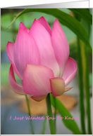 Pink Lotus, Just Want You To Know Card