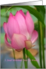 Pink Lotus, Just Want You To Know Card