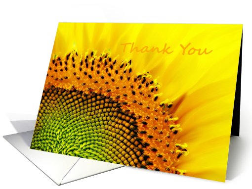 Macro Sunflower, Thank You Card,Gift,General card (481562)